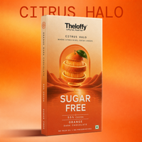 Theloffy Citrus Halo Sugar Free Orange Dark Chocolate – Premium Pack Hero