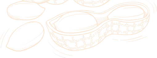 Background Peanut_1 Image  scroll-trigger animate--zoom-in 
