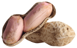 Peanut Image